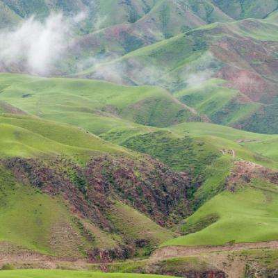 何立峰在内蒙古调研时指出 全力打好“三北”工程东部片区歼灭战 筑牢北疆绿色长城和生态安全屏障